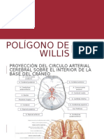 Polígono de Willis