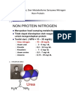 Struktru, Fungsi Dan Metabolime Nitrogen Non-Protein