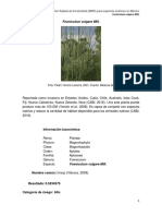 Foeniculum Vulgare PDF