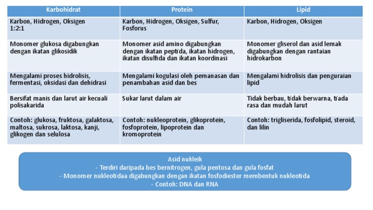 Perbezaan Karbo Protein Lipid Asid Nukleik Pdf