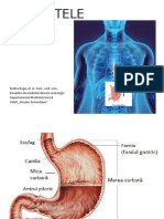 !! Gastritele .PPTX 2 Rom