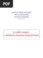 04 Apparato Muscolo Schel PDF