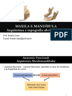 MAXILA E MANDÍBULA - Arquitetura e topografia alvéolo-dental
