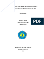 Karya Ilmiah (Yudhanto Saputra) PDF