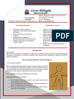 Taller 1 Primaria 1°,2° y 3° PDF