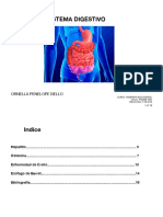 Trabajo Sistema Digestivo Ornella Penelope PDF