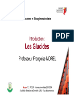 1.intro Glucides - Morel PDF