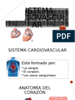 Sistema Cardiovascular Imprimir
