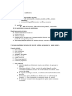 Preparare dinți(p).pdf