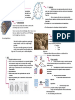 BCM Nano Materials PDF