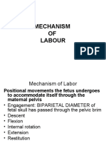 CSKL 1b - Mechanism of Labour