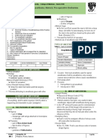 Anes PDF