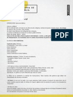 L1.pdf