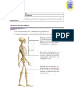 guia  de ciencias 26 de marzo