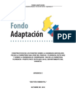 APÉNDICE C (Gestión Ambiental) PDF