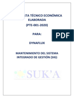 PTE 001 - 2019 - MANTENIMIENTO SIG -.docx
