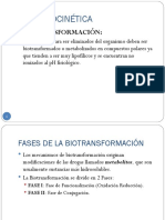 Biotransformacin 120321110155 Phpapp01 PDF