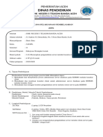 RPP Database (PDF - Io)