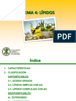 Lipidos PDF