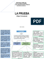 Mapa Conceptual Prueba