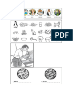 Actividad Virtual Caracteristicas Seres Vivos PDF