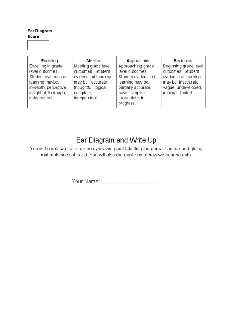 Ear Diagram - Rubric | PDF | Ear | Neuropsychology