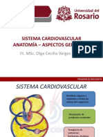 Sistema Cardiovascular Bases PDF