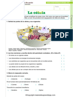 01 La Célula PDF