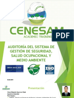 Capacitación - Auditoría Sig Ssoma PDF