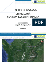 Resultados preliminares ensayos Parallel Seismic 2020-03-05.pdf