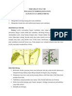 Percobaan VII&VIII Morfologi Batang PDF