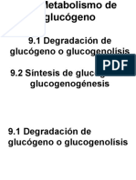 9.0 Metabolismo de Glucógeno