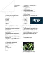 Soal Biologi Plantae