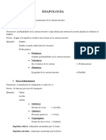 Ciclo de las rocas y formación del suelo