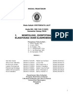 Modul Elasmobranchii PDF