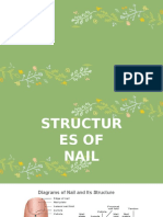 Structures of Nail