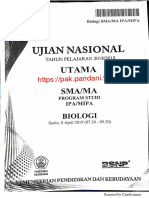 2019 UN BIO.pdf