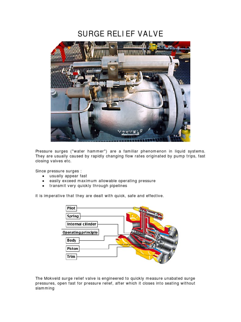 Surge Relief Valve PDF PDF
