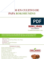 ensayos Rokohumin 10_02_20.pdf