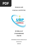 FARMAKOLOGI JANTUNG