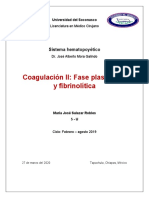 Coagulación II.docx