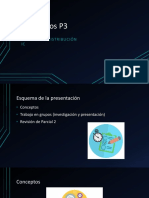 P3 PDF