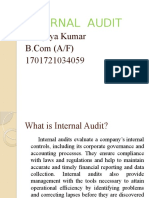 Internal Audit 3rd CA