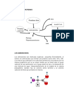 Metabolismo de Proteinas