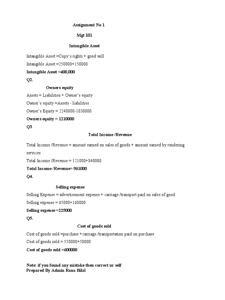 MGT 101 Assignment 1 Solutions 2025 | PDF