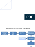 Patomekanisme Penurunan BB