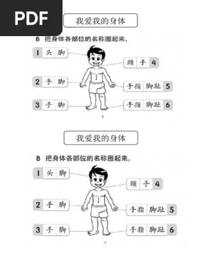 体健练习 Pdf