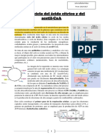 Tema 2 Metabolismo PDF