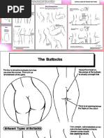 more Here!? | PDF