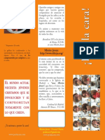 folleto_ponlacara[1]